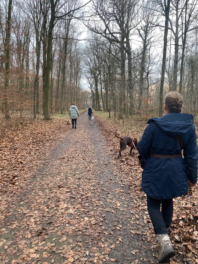 Social Walk